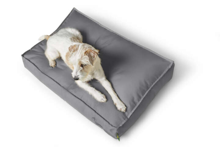 HUNTER Hunde-Liegekissen Ribe